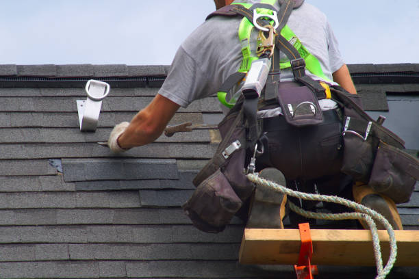 Best Roof Gutter Cleaning  in Perry Hall, MD